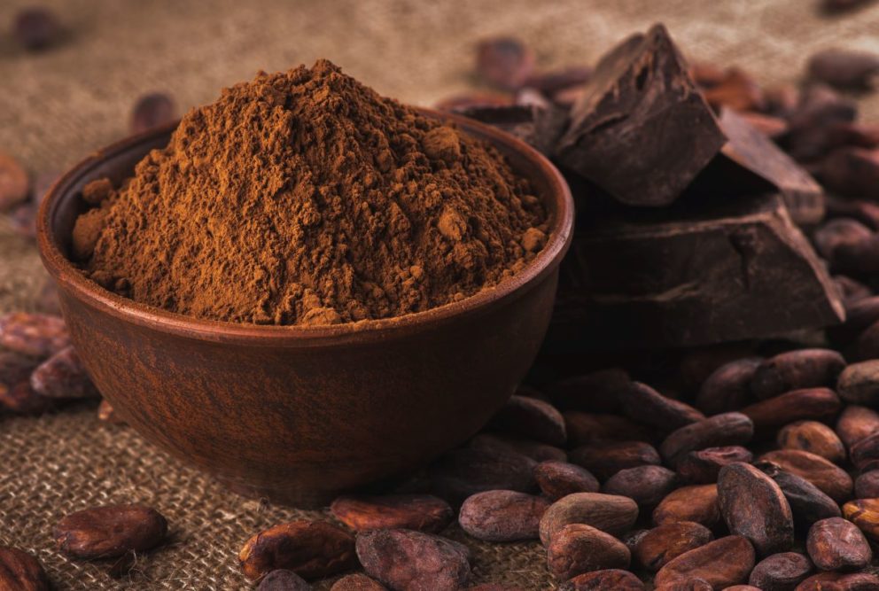 Cocoa powder and cocoa berries