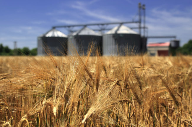 Wheat-field-with-silos_AdobeStock_54246480_E