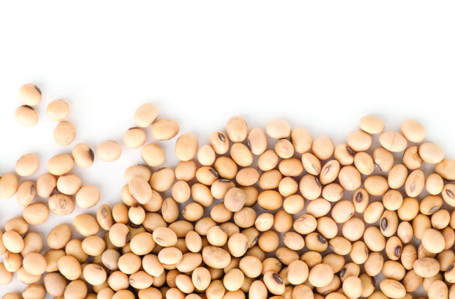 Soybeans_AdobeStock