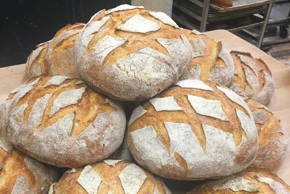 EasyTiger_Bread