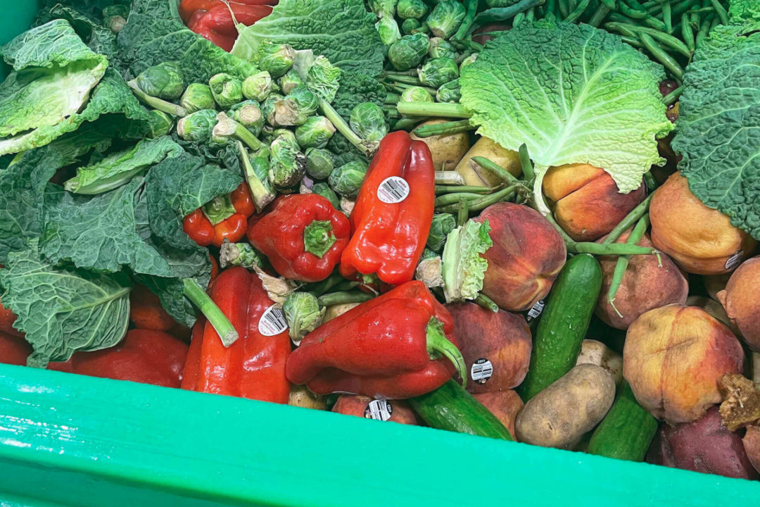 DoGoodFoods_FoodWaste